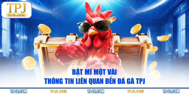 Bật mí một vài thông tin liên quan đến đá gà TPJ